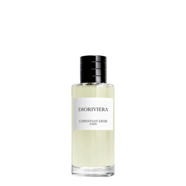 christian dior dioriviera mini