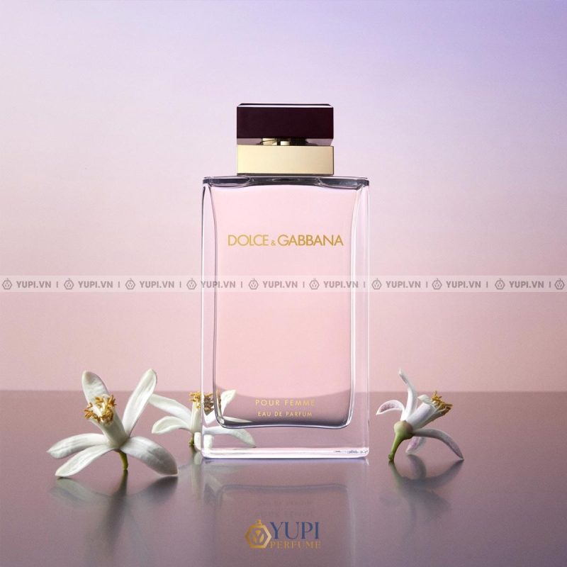 dolce gabbana pour femme edp