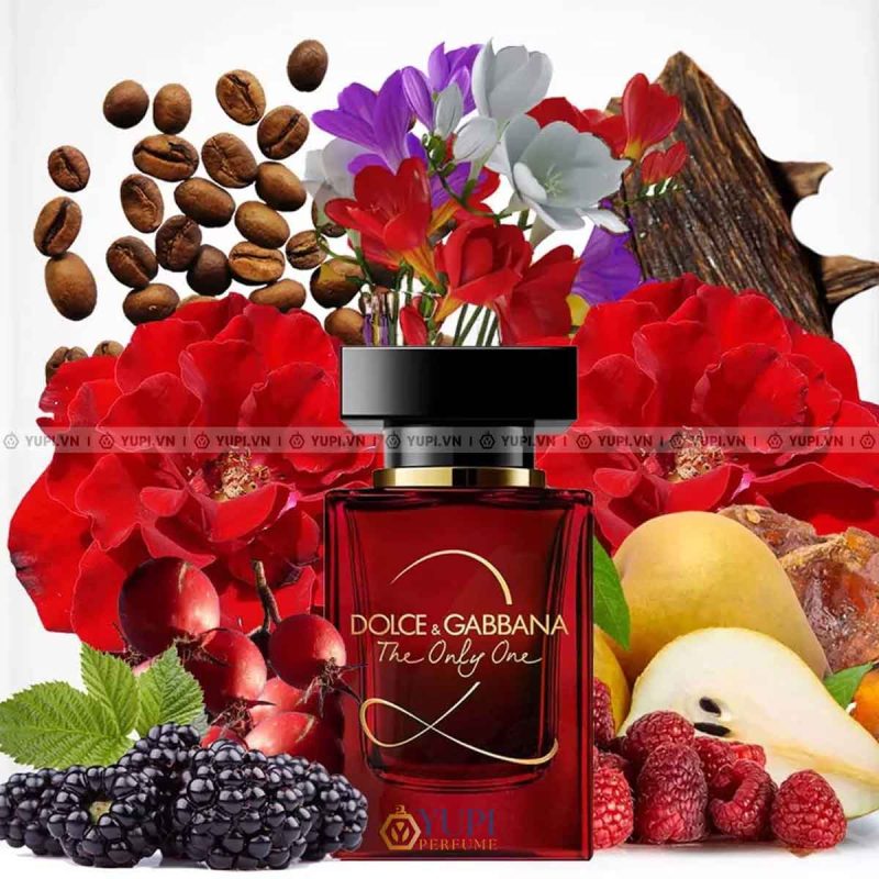 dolce gabbana the only one 2 edp