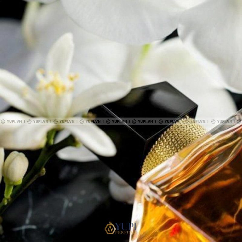 yves saint laurent libre intense eau de parfum